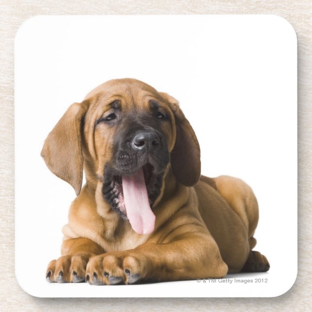 Dessous-de-verre Chiot 2 (Devant)
