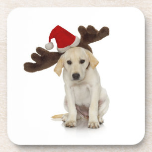 Dessous-de-verre Chiot avec des oreilles de casquette et de renne
