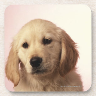 Dessous-de-verre Chiot de golden retriever
