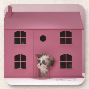 Dessous-de-verre Chiot scrutant hors de la maison de poupée
