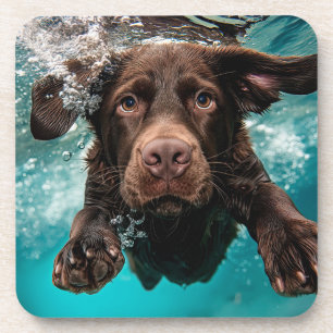 Dessous-de-verre Chocolat Joueur Labrador nage sous l'eau