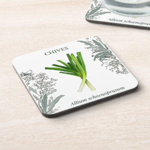Dessous-de-verre Ciboulette — Allium schoenoprasum