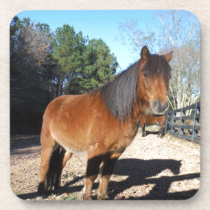 Dessous-de-verre Ciel turquoise de poney Brown