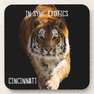 Dessous-de-verre Cincinnati Tiger -