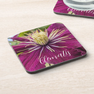 Dessous-de-verre Clématite pourpre en fleurs Floral