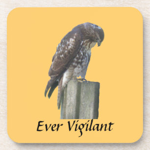 Dessous-de-verre Coaster set - Falcon - Ever Vigilant