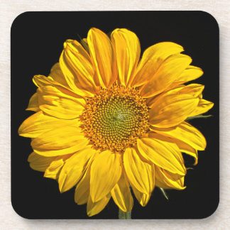 Dessous-de-verre Coastère de tournesol