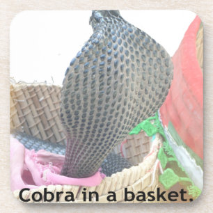 Dessous-de-verre Cobra dans le panier Imprimer