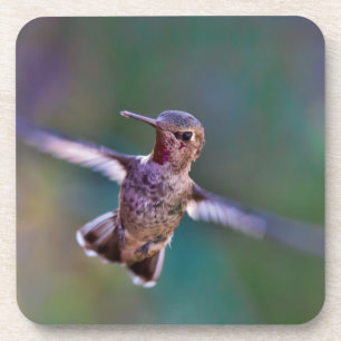 Dessous-de-verre Colibri
