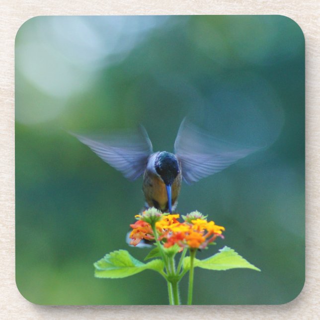 Dessous-de-verre Colibri Angel Wings (Devant)