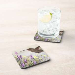 Dessous-de-verre Colibri et Art numérique Fleur sauvage 