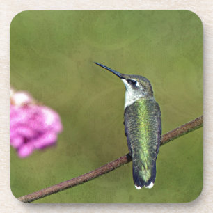 Dessous-de-verre Colibri et Zinnia
