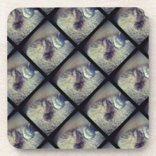 Dessous-de-verre Collage de chats par Shirley Taylor