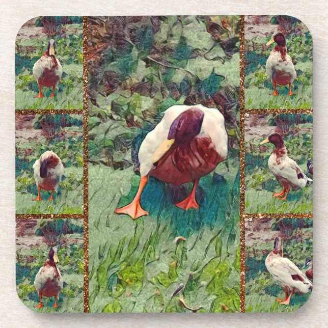 Dessous-de-verre Collage photo de canard amarré, ensemble de Dessou (Devant)