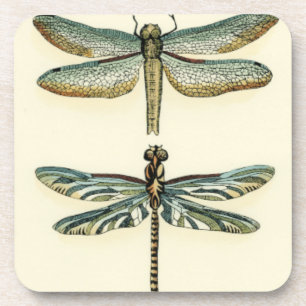 Dessous-de-verre Collection de libellule par Chariklia Zarris