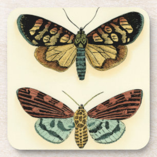 Dessous-de-verre Collection de papillon par Chariklia Zarris
