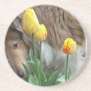 Dessous de verre Collie n Tulips