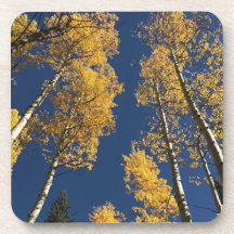 Dessous de verre colorés du Colorado