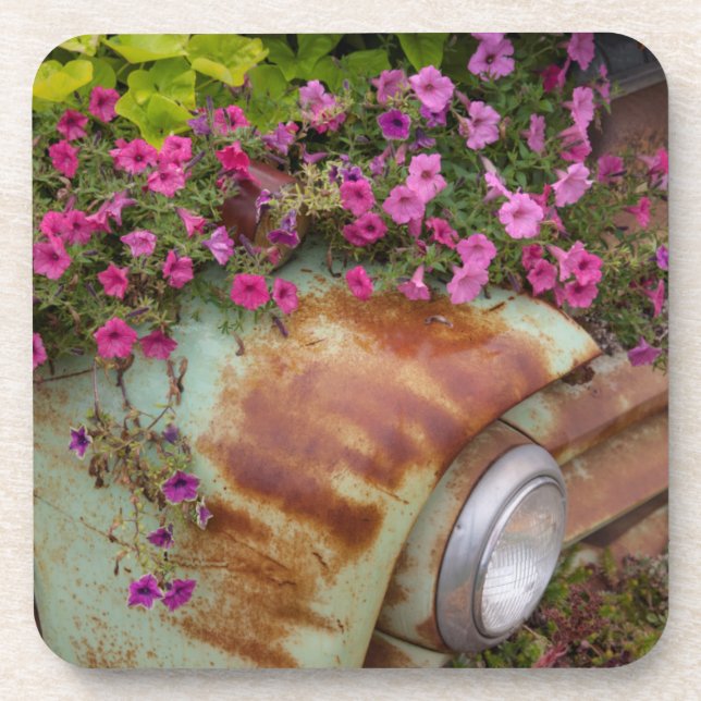 Dessous-de-verre Columbia Falls (Devant)