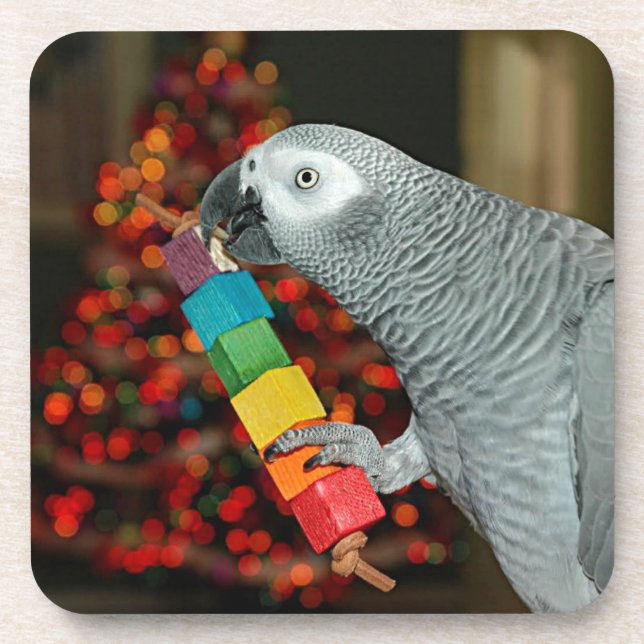 Dessous-de-verre Congo African Grey Parrot Joyeux sapin de Noël (Devant)