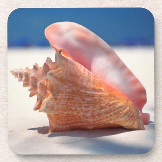 Dessous-de-verre Conque Shell sur la plage 2 (Devant)