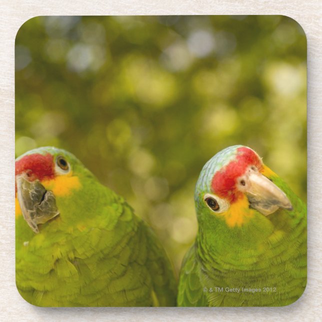 Dessous-de-verre Copan, Honduras (Devant)