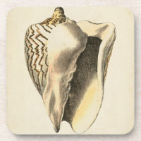 Coque vintage Sepia Conch