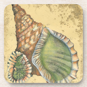 Dessous-de-verre Coquillage Brown et vert