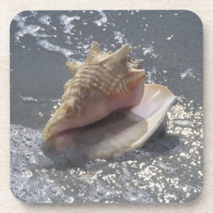 Dessous-de-verre Coquillage sur l'île de la plage Sanibel, la