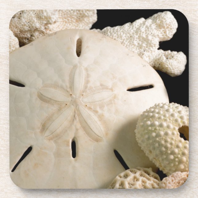 Dessous-de-verre Coquillages Blancs Et Dollar De Sable (Devant)