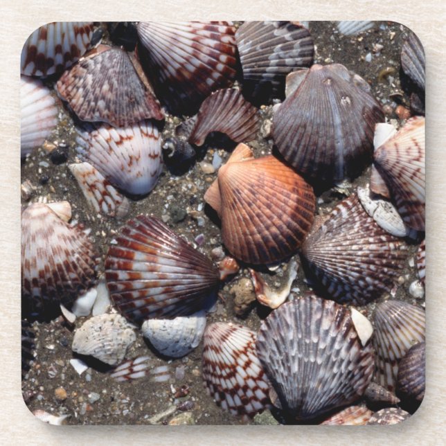 Dessous-de-verre Coquillages colorés crantés sur un sable noir (Devant)