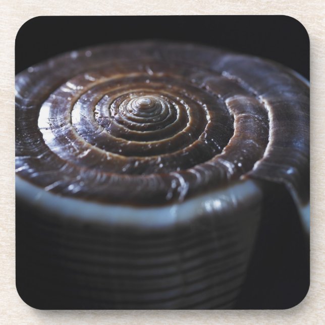 Dessous-de-verre Coquille de cône (Devant)