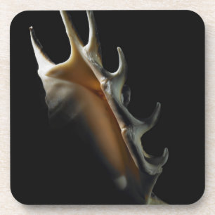 Dessous-de-verre Coquille de conque