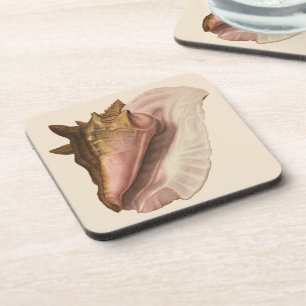 Dessous-de-verre Coquille de l'escargot de mer Reine, Coquillage, F
