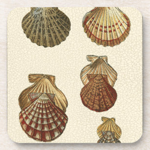 Dessous-de-verre Coquilles antiques crépitées