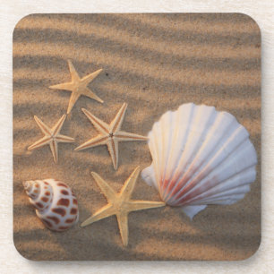 Dessous-de-verre Coquilles et étoiles de mer de mer