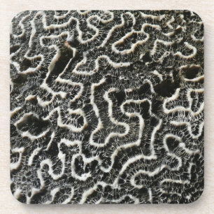 Dessous-de-verre Corail noir et blanc II Abstrait Nature Photo