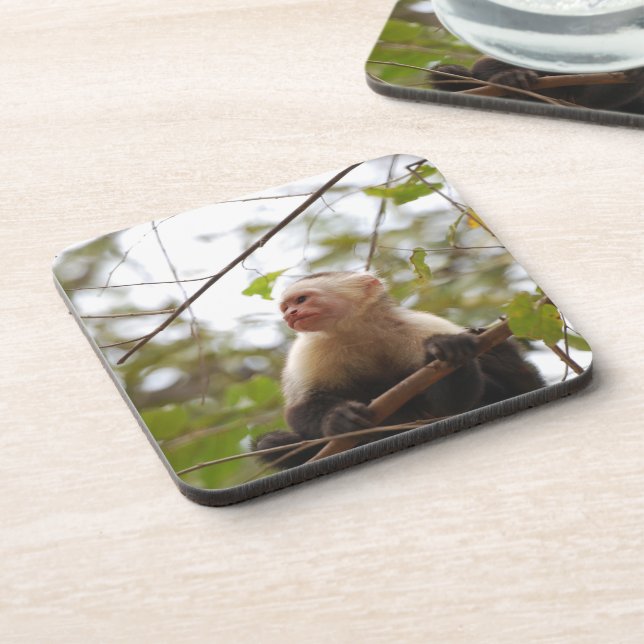 Dessous-de-verre Costa Rica : Le singe capucin (Côté gauche)