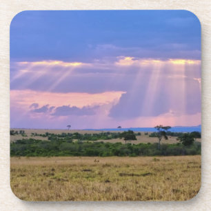 Dessous-de-verre Coucher de soleil sur le Masai Mara.
