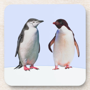 Dessous-de-verre Couple de manchots oiseaux magnifiques sur fond bl