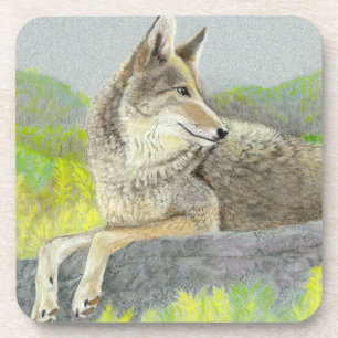 Dessous-de-verre Coyote Beverage Coaster