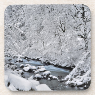 Dessous-de-verre Crique blanche moelleuse pittoresque, Oregon