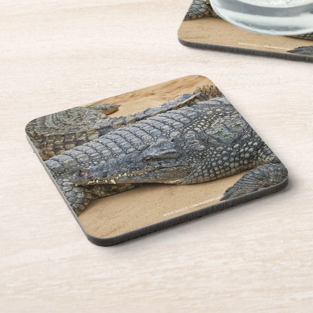 Dessous-de-verre Crocodile (Côté gauche)