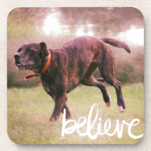 Dessous-de-verre Croyez en votre chien