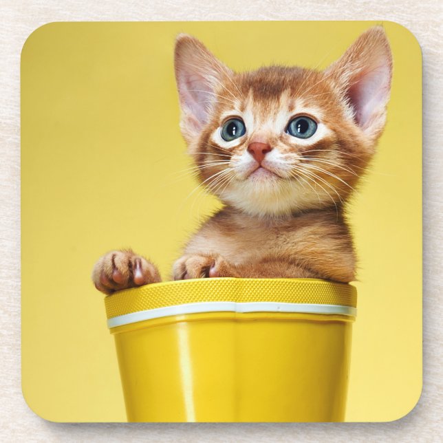 Dessous-de-verre Cute chaton dans un seau jaune (Devant)