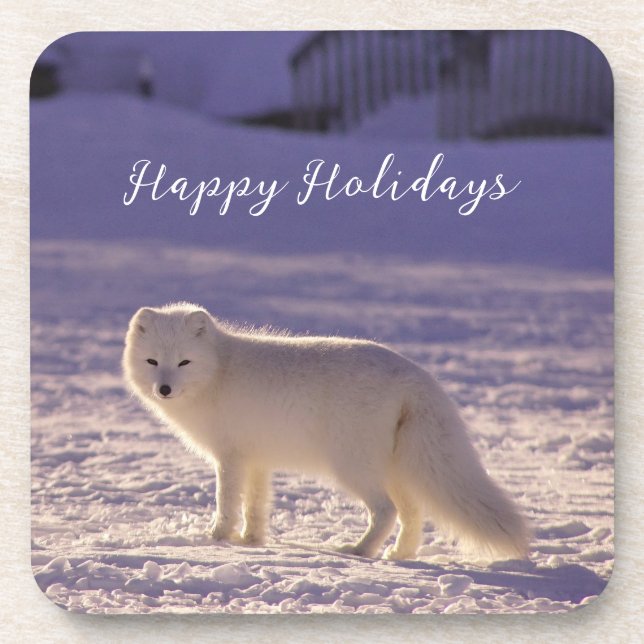 Dessous-de-verre Cute White Arctic Fox neige hiver Photographie (Devant)