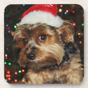 Dessous-de-verre Cute Yorkie avec Santa Hat