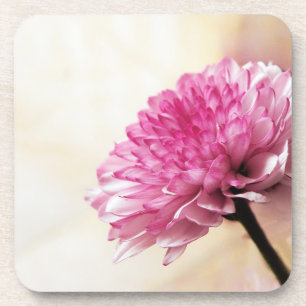 Dessous-de-verre Daisy