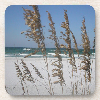 Dessous de verre d'avoine marine de Floride