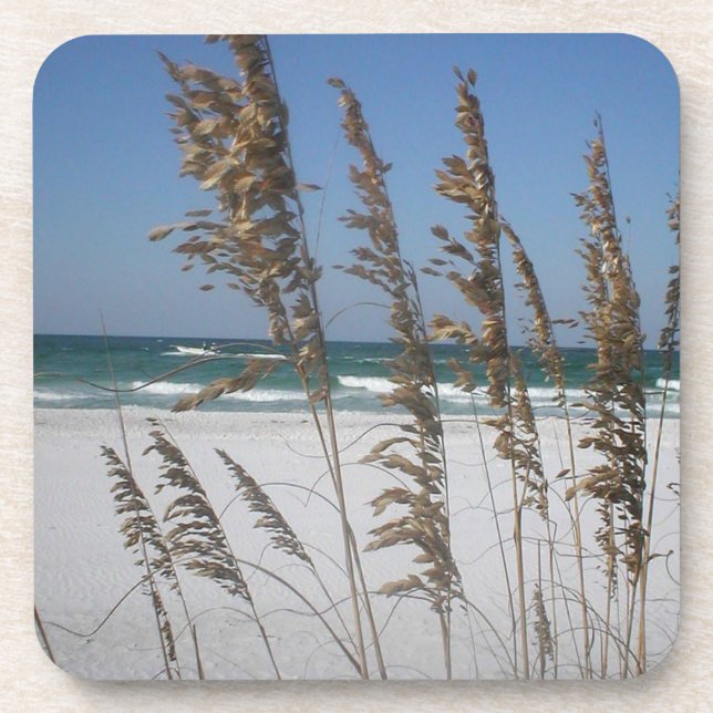 Dessous de verre d'avoine marine de Floride (Devant)